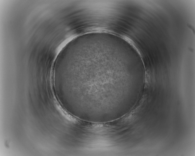 X0000102821098200808251105
