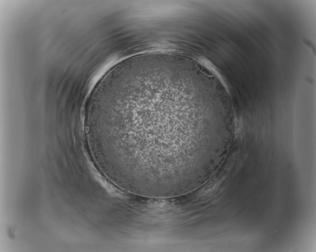 X0000102821099200808251105