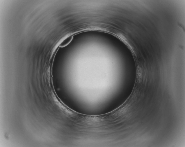 X0000102821100200808251105