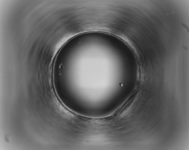X0000102821102200808251105