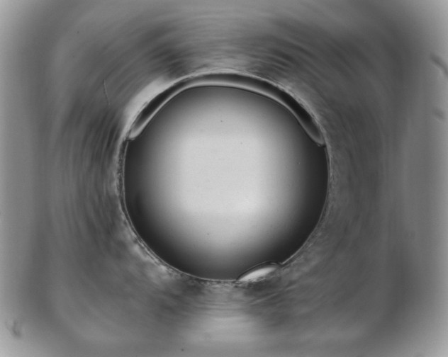 X0000102821104200808251105