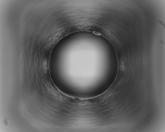X0000102821108200808251104