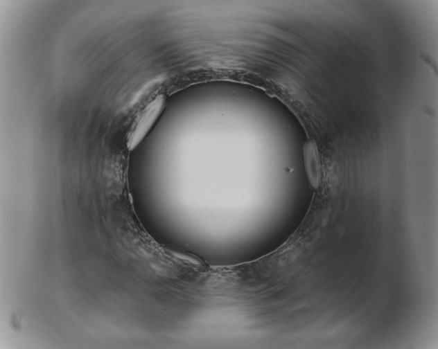 X0000102821110200808251104