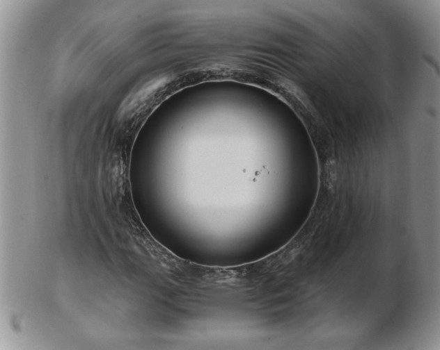 X0000102821111200808251104