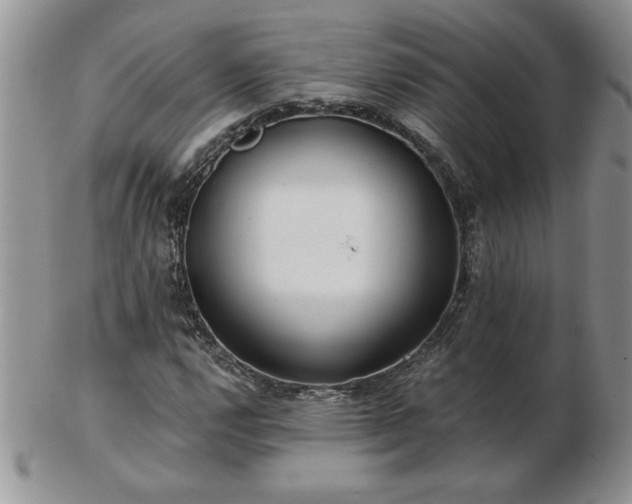 X0000102821112200808251104