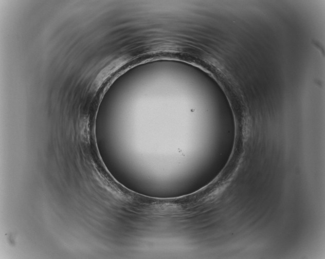 X0000102821113200808251104