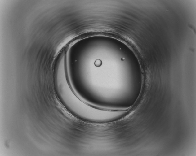 X0000102821114200808251104