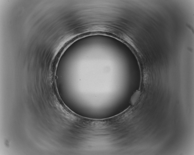 X0000102821116200808251104