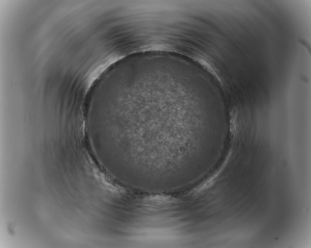 X0000102821117200808251104