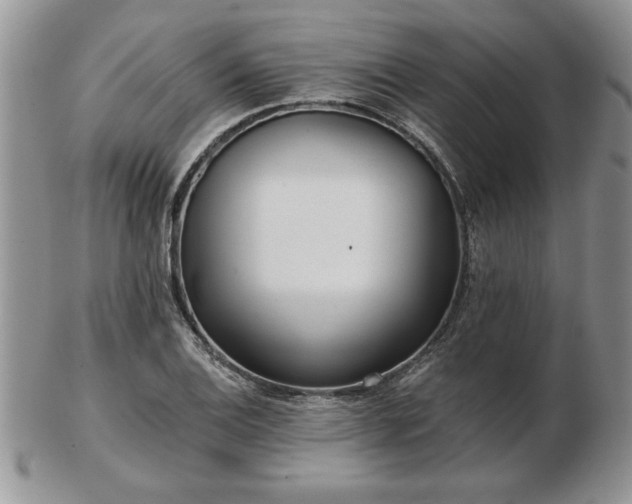 X0000102821124200808251104