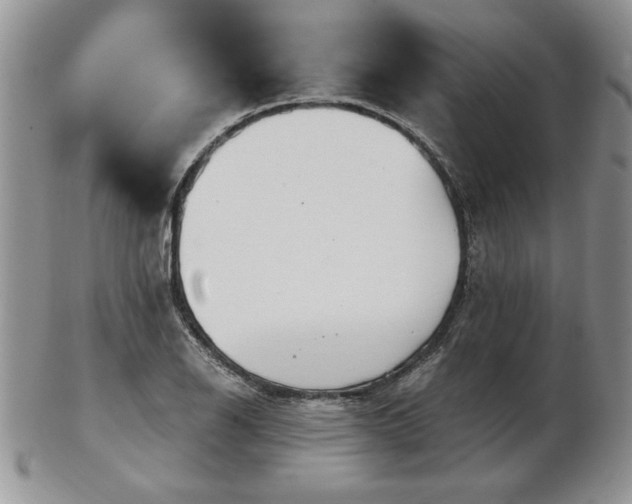 X0000102821126200808251104