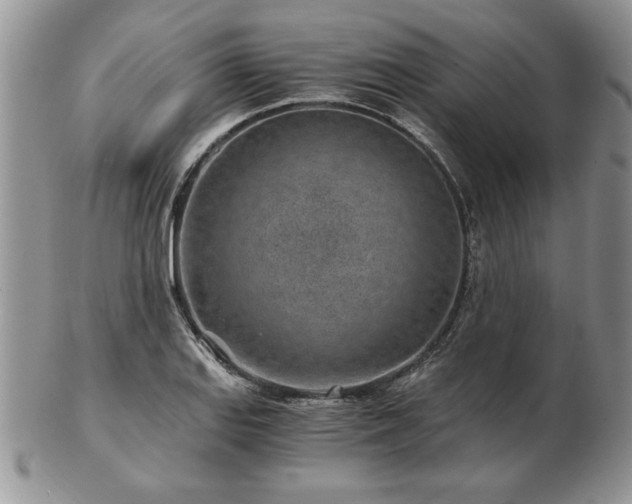 X0000102821127200808251104