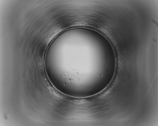 X0000102821129200808251104