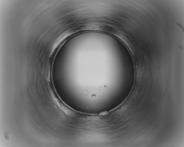 X0000102821131200808251104