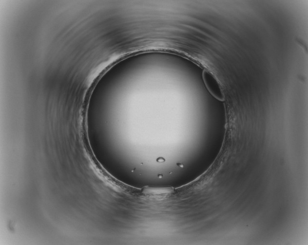 X0000102821134200808251104