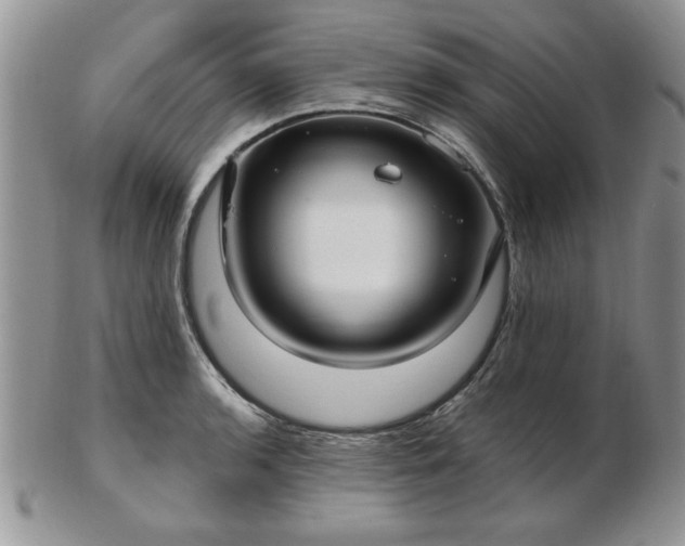 X0000102821136200808251104