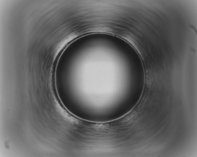 X0000102821139200808251104