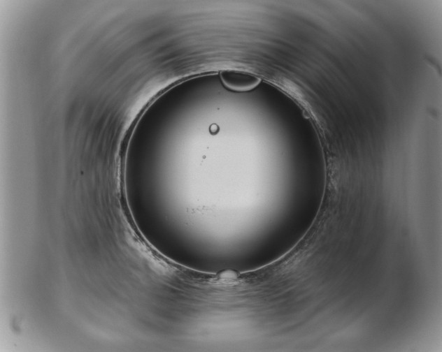 X0000102821140200808251104