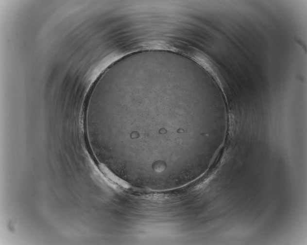 X0000102821141200808251104