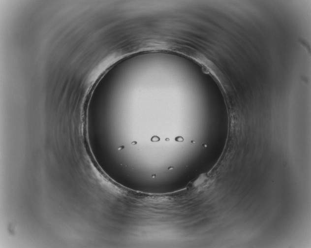 X0000102821143200808251105