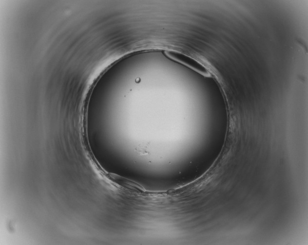 X0000102821144200808251105