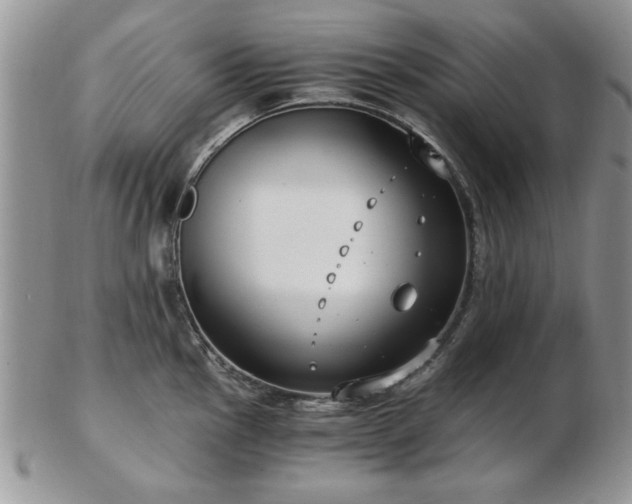 X0000102821145200808251105