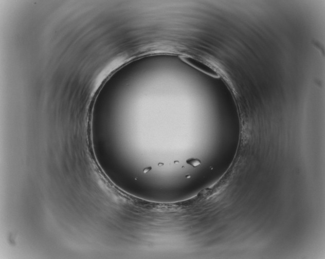 X0000102821146200808251105