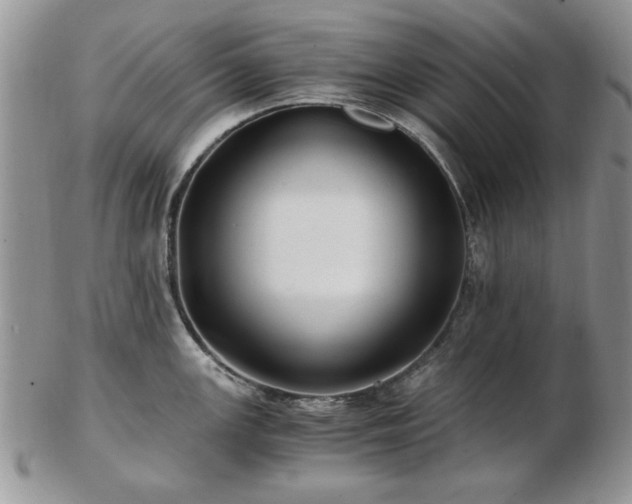 X0000102821147200808251105