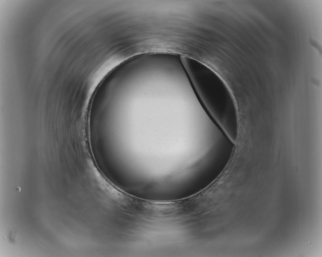 X0000102821152200808251105