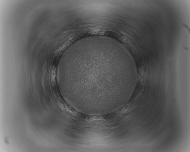 X0000102821154200808251104