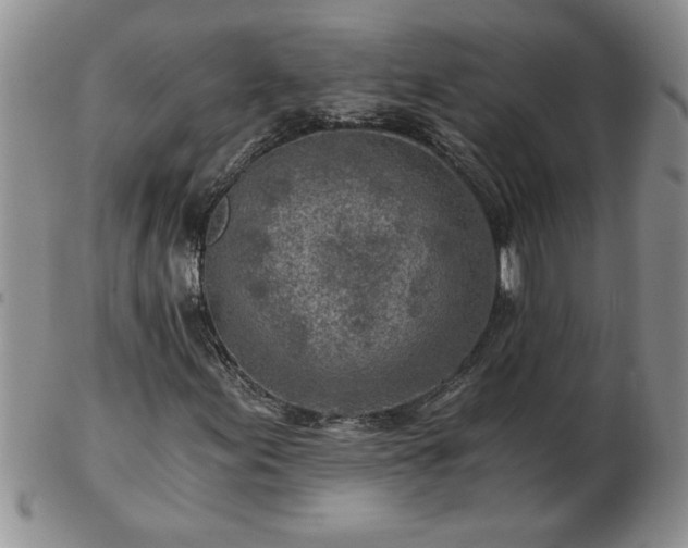 X0000102821155200808251104