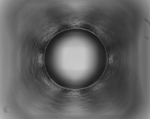 X0000102821156200808251104
