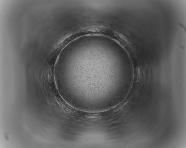 X0000102821158200808251104