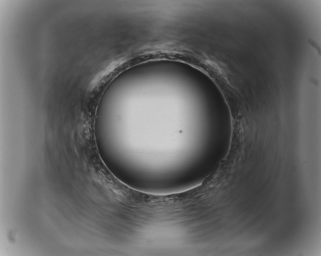 X0000102821159200808251104