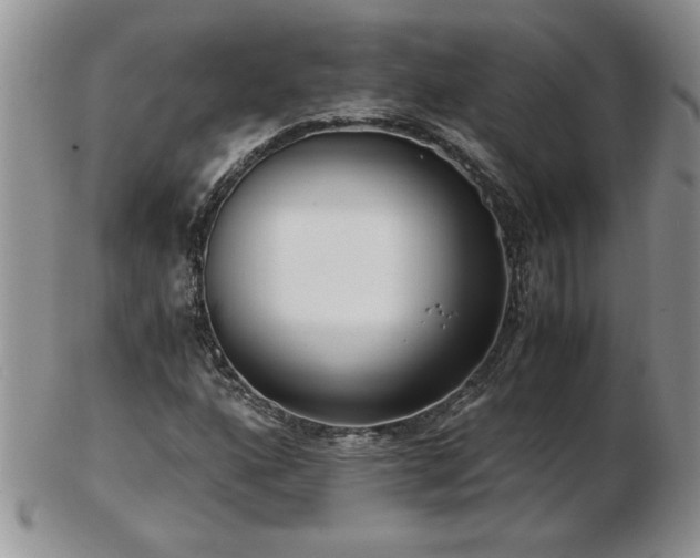 X0000102821160200808251104