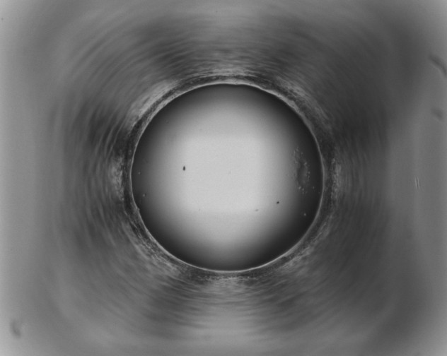X0000102821162200808251104