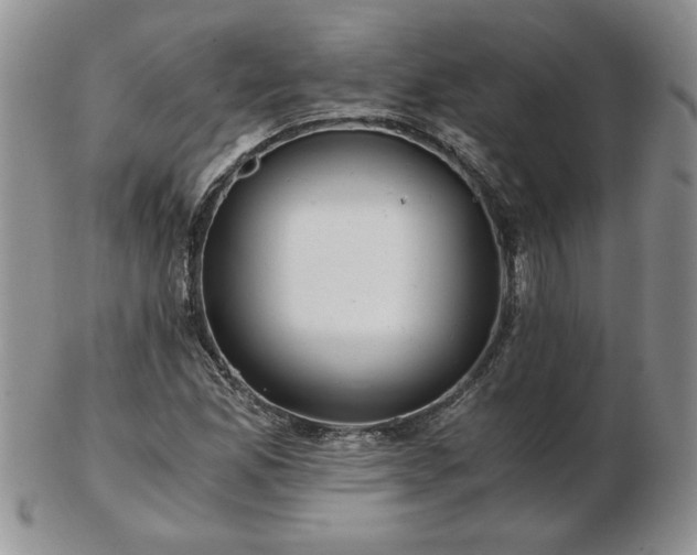 X0000102821165200808251104