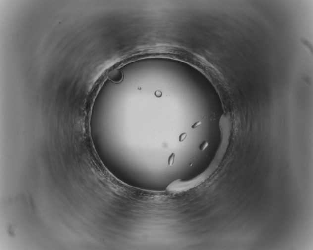 X0000102821166200808251104