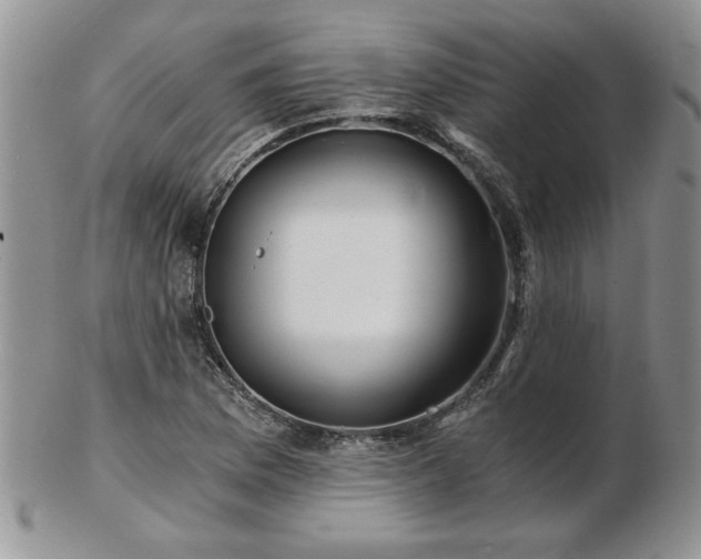 X0000102821169200808251104