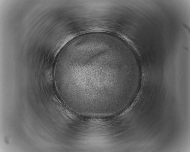 X0000102821170200808251104
