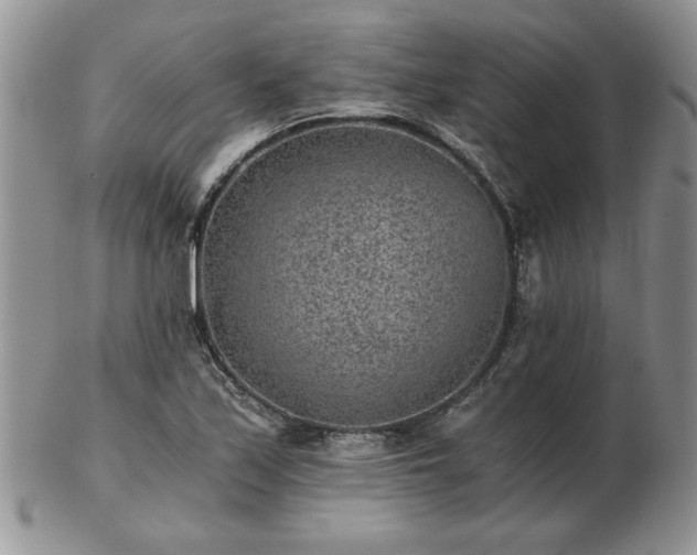X0000102821171200808251104