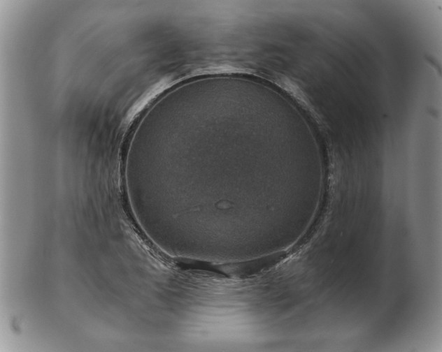 X0000102821173200808251104