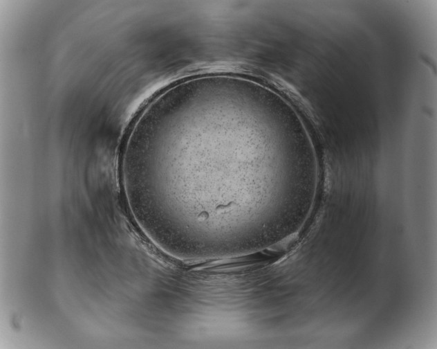 X0000102821174200808251104