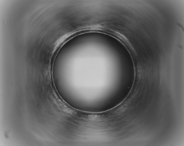 X0000102821176200808251104