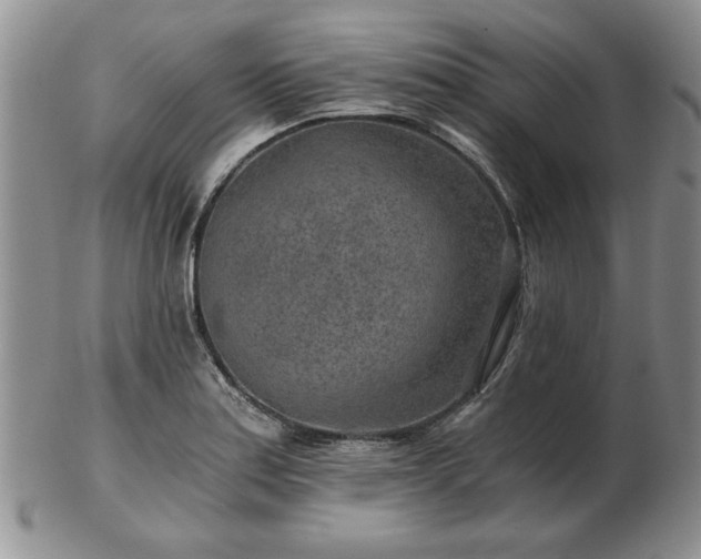 X0000102821179200808251103