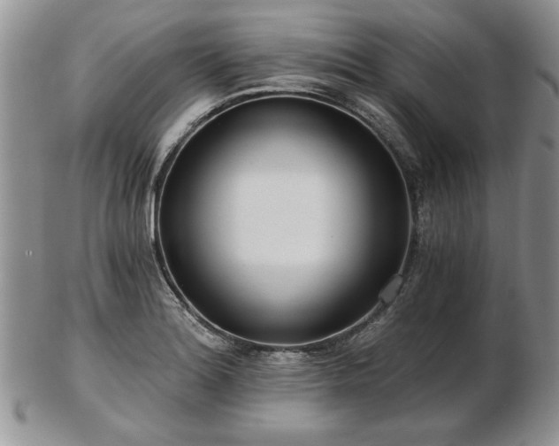X0000102821180200808251103