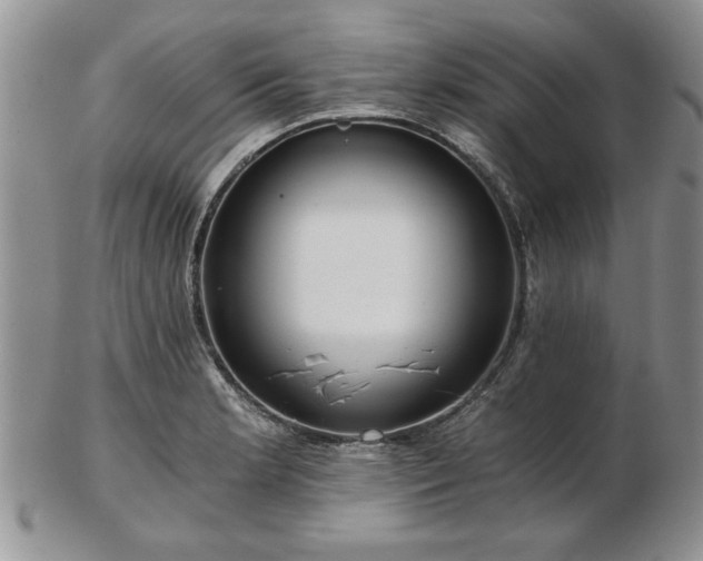 X0000102821181200808251103