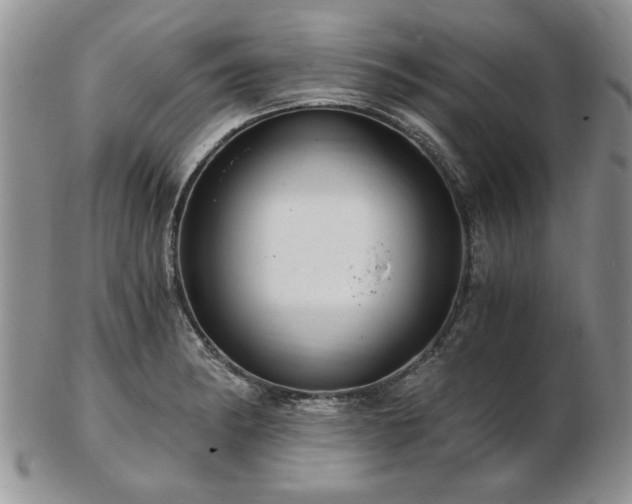 X0000102821182200808251103