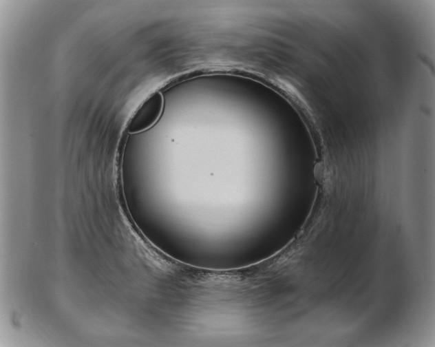 X0000102821183200808251103