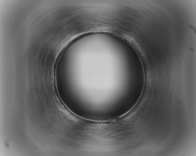 X0000102821184200808251103